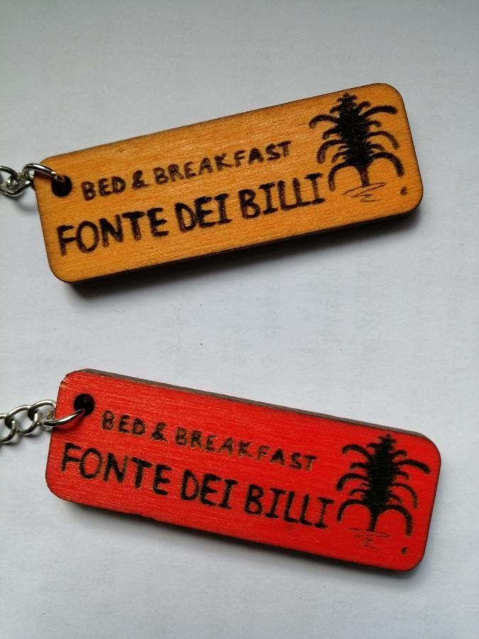 B&B Fonte Dei Billi ペンナビッリ エクステリア 写真